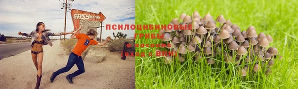 ALPHA PVP Армянск
